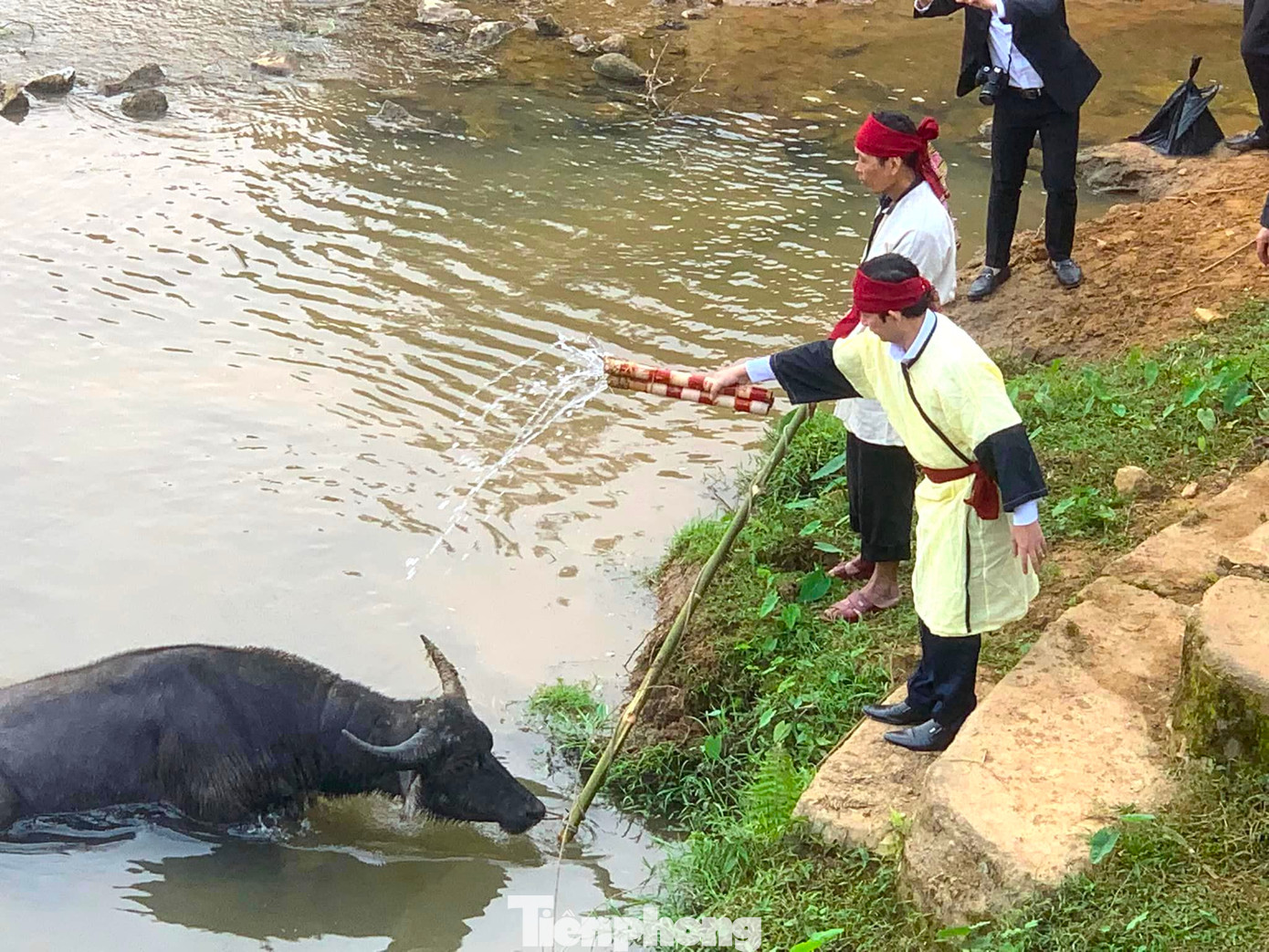 Trước khi làm lễ, trâu được đưa xuống tắm ở bến sông Tà Tạo (bến Quan).