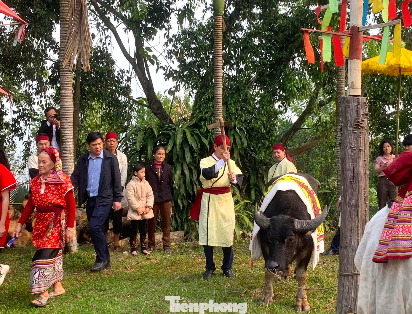 Sau khi tắm, trâu được đưa vào khu vực làm lễ. Trước đây, lễ chém trâu được tiến hành trong tiếng reo hò của bà con về dự lễ. Tuy nhiên, sau này phần lễ chém trâu không được thực hiện mà chỉ là hình thức tượng trưng.