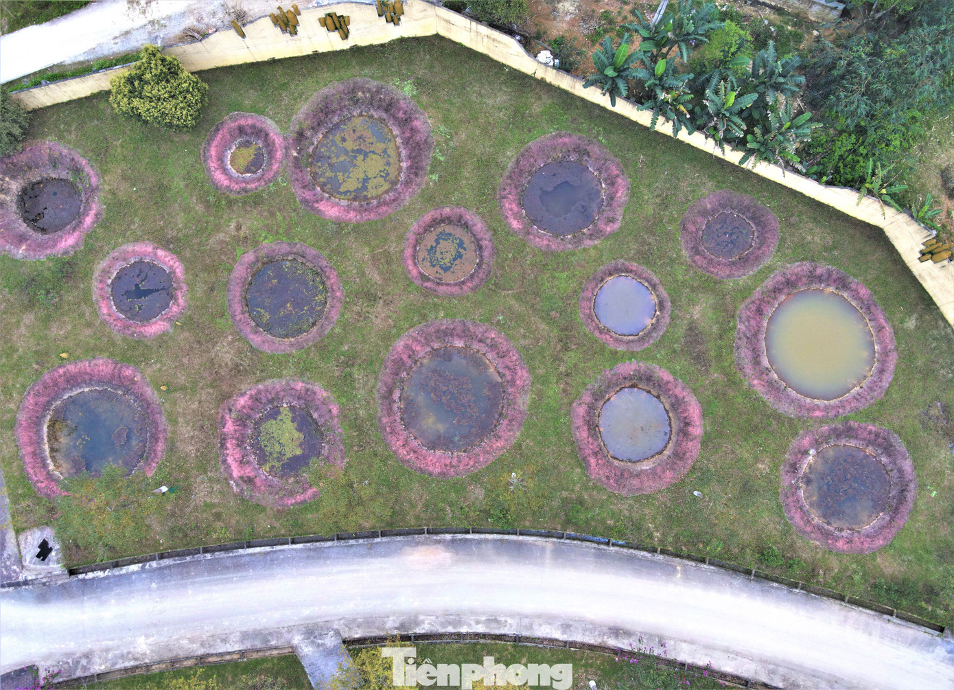 Chỉ tính riêng từ năm 1964 đến 1968, không quân địch đã trút xuống Truông Bồn 18.936 quả bom các loại và hàng nghìn quả tên lửa, rốc-két xuống nơi đây, tàn phá 211 thôn, làng dọc tuyến đường. Tại đây, hơn 1.240 cán bộ, chiến sĩ bộ đội, dân quân tự vệ, thanh niên xung phong, công nhân ngành giao thông đã anh dũng hy sinh.