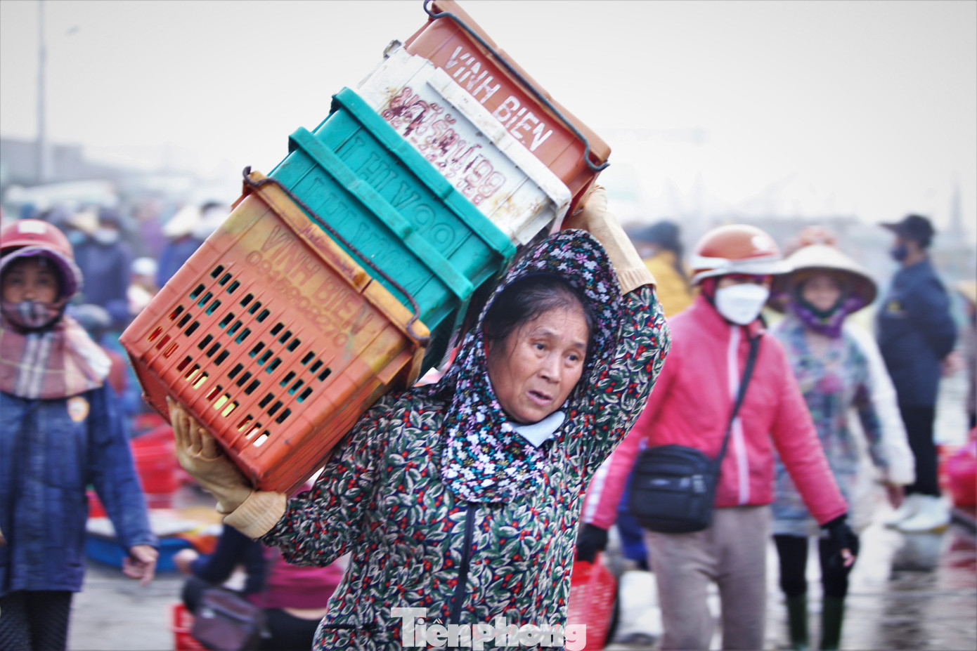 Với họ, có công việc, thu nhập mỗi sớm đến cảng cá là điều vui nhất. Họ xem đó là những bông hoa ý nghĩa và đẹp nhất ngày lễ 8/3.