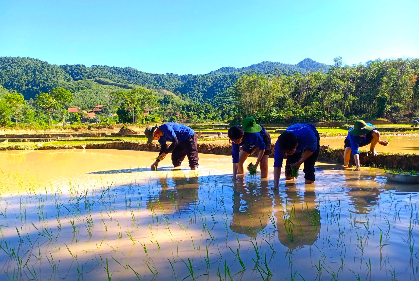 Anh Cầm Bá Tướng - Bí thư đoàn xã Châu Thuận cho biết, xã Châu Thuận là một trong những xã nghèo của huyện. Nơi đây hơn 90 % là đồng bào dân tộc Thái, đời sống còn nhiều khó khăn. Ở xã hiện chỉ còn những người già và các cháu nhỏ do các thanh niên trẻ đều đi làm xa. Mỗi khi đến vụ lúa mới rất khó khăn trong việc nhờ người cấy giúp, đặc biệt là dịp hè. Năm nay nhờ có sinh viên tình nguyện về hỗ trợ nên bà con cũng bớt được phần nào khó khăn.