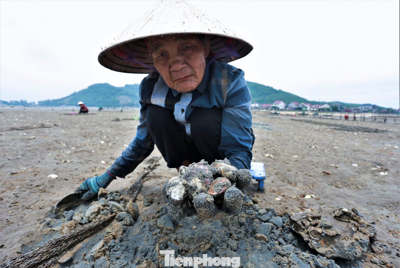 "Nghề này muốn đi sớm cho đỡ nắng cũng không được mà cứ phải chờ thủy triều lên xuống. Ở biển giờ chủ yếu họ nuôi nhiều nên thay vì đào tìm ngao tự nhiên, tôi đi đào ngao thuê, kiếm mỗi ngày 100.000-150.000 đồng tiền công", bà Nguyễn Thị Châu (80 tuổi, trú xã Cẩm Lĩnh, huyện Cẩm Xuyên", chia sẻ.