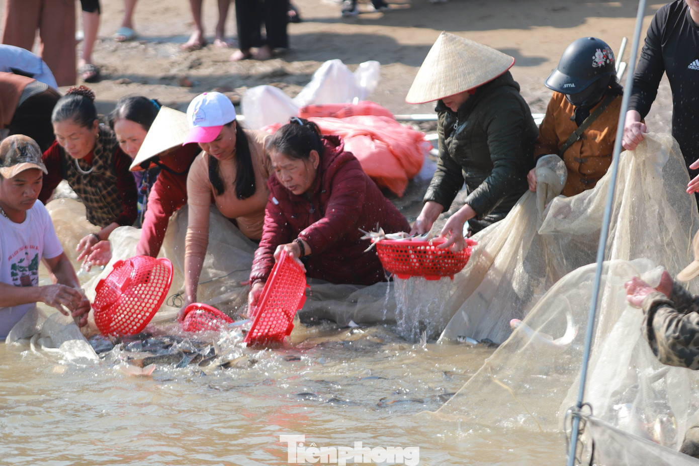 Nhiều người dân, phật tử tham gia trực tiếp thả cá xuống dòng sông Lam trong lễ phóng sinh.