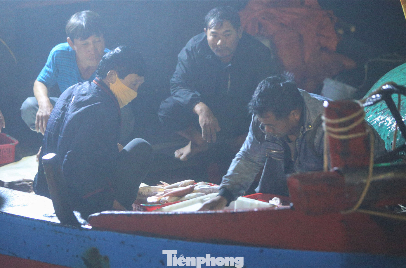 Các loại hải sản được phân loại ngay tại thuyền rồi cho vào các khay nhựa để đưa lên bờ bán cho tiểu thương. Mỗi khay cá nặng 40-50kg. Một người có thể đội hàng chục khay nhựa đầy ắp cá, tôm.