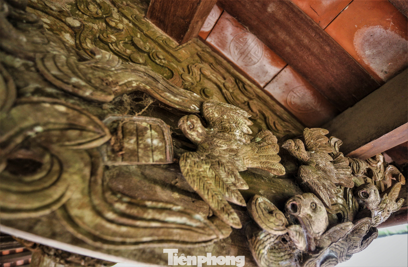 Những nét chạm khắc tinh xảo, công phu và rất nghệ thuật trên chất liệu gỗ mít với cách bài trí đăng đối hài hòa. Các chủ đề trang trí phản ánh đời sống văn hóa dân gian truyền thống như rồng, phượng, cá chép hóa rồng, voi, ngựa, con quốc, rùa, hươu, cây cảnh như trúc, mai, sen…