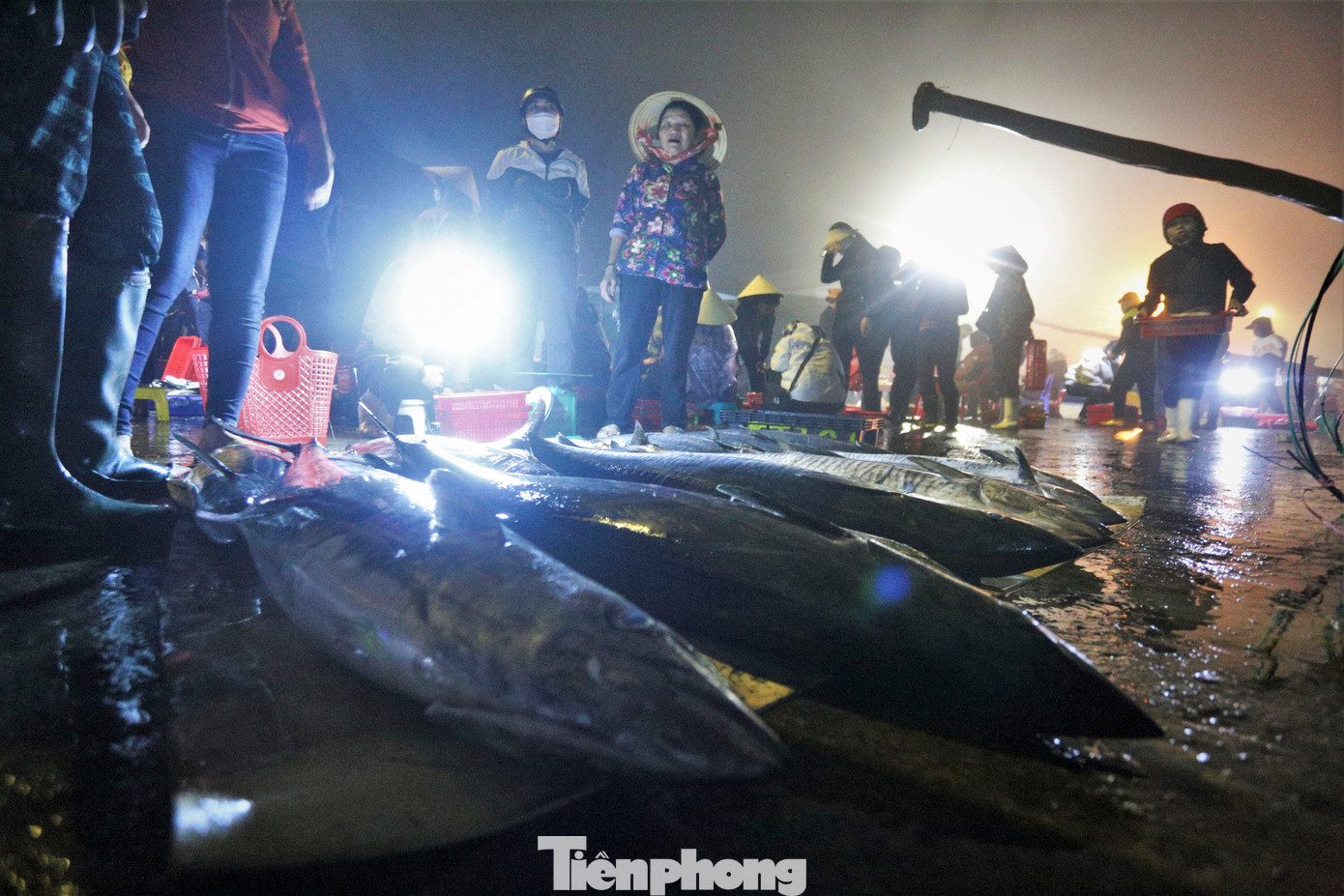 Bất kể nắng hay mưa, trừ lúc biển động, ngày nào họ cũng xuống biển lặn lội mưu sinh. Dù thu nhập có phần bấp bênh so với những nghề khác, nhưng ngày ngày những người phụ nữ đội cá vẫn gặp nhau trên bến cảng.