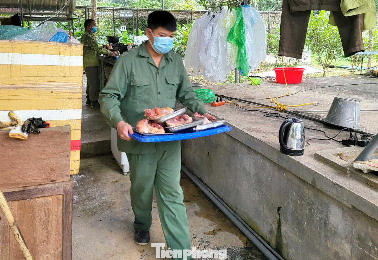 Mỗi ngày hổ được cho ăn 2 lần gồm thịt bò, thịt gà hoặc thịt thỏ Mỗi ngày hổ được cho ăn 2 lần gồm thịt bò, thịt gà hoặc thịt thỏ