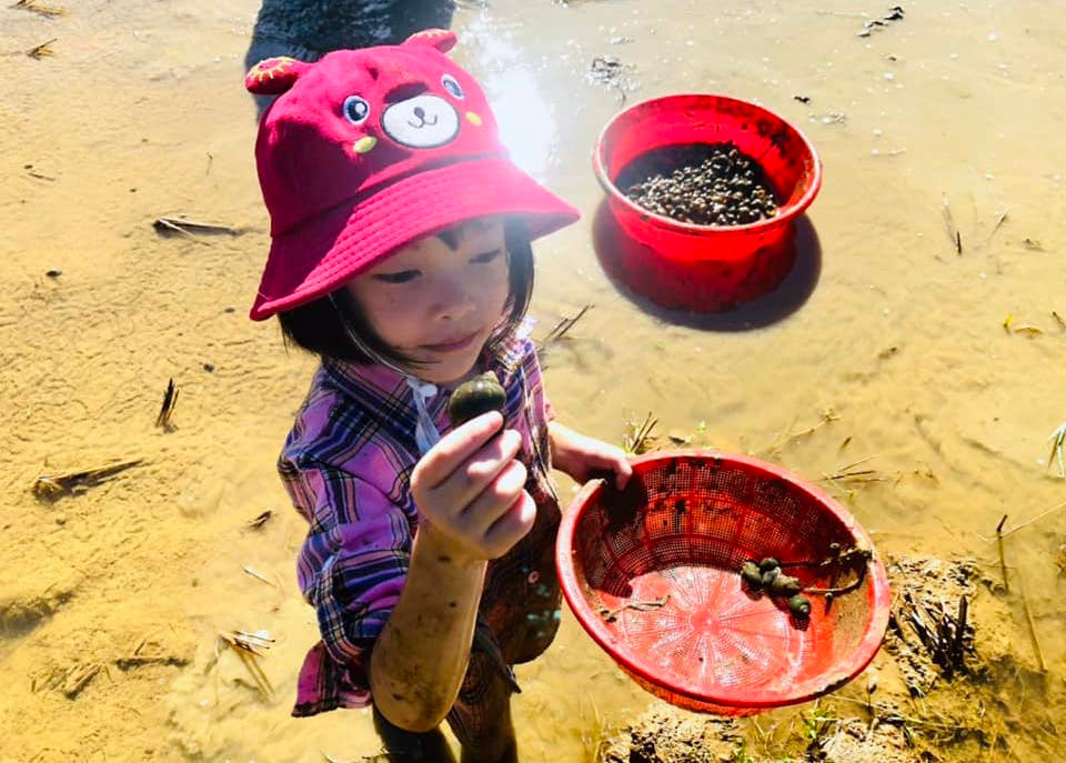 Em nhỏ khoe tự tay bắt được con ốc bươu vàng trên ruộng. Em nhỏ khoe tự tay bắt được con ốc bươu vàng trên ruộng.