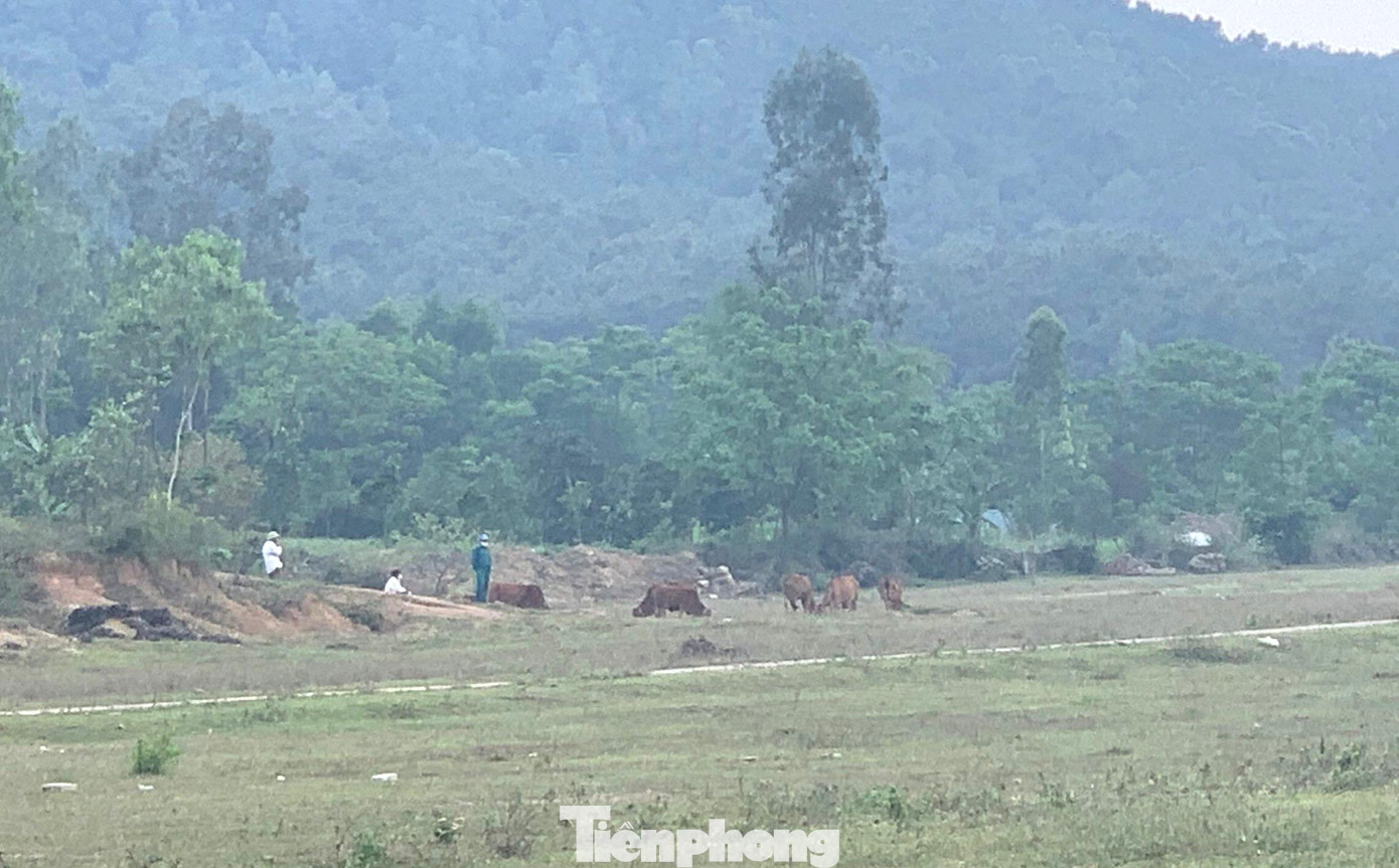 Ông Nguyễn Xuân Dinh - Phó Chủ tịch UBND huyện Quỳnh Lưu cho biết, người dân nêu nhiều lý do không di dời đến khu tái định cư, bởi thế chính quyền địa phương cũng không còn cách nào khác. Để tránh lãng phí quỹ đất, huyện Quỳnh Lưu đang trình tỉnh Nghệ An nhằm xin chủ trương chuyển đổi mục đích sử dụng để đấu giá.