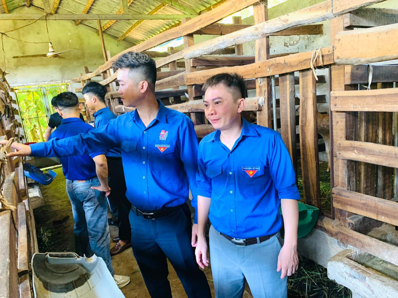 Anh Hồ Văn Hữu - Bí thư Đoàn phường Quỳnh Xuân (TX. Hoàng Mai) cho biết: Mô hình nuôi hươu của đoàn viên Vũ Văn Quế là mô hình tiên phong của Đoàn phường trong lĩnh vực chăn nuôi. Tuy mới thử nghiệm nhưng mô hình nuôi hươu sao của Quế mở ra hướng đi mới thoát nghèo cho những người trẻ, được nhiều đoàn viên, thanh niên trong tỉnh đến tham quan, học tập.