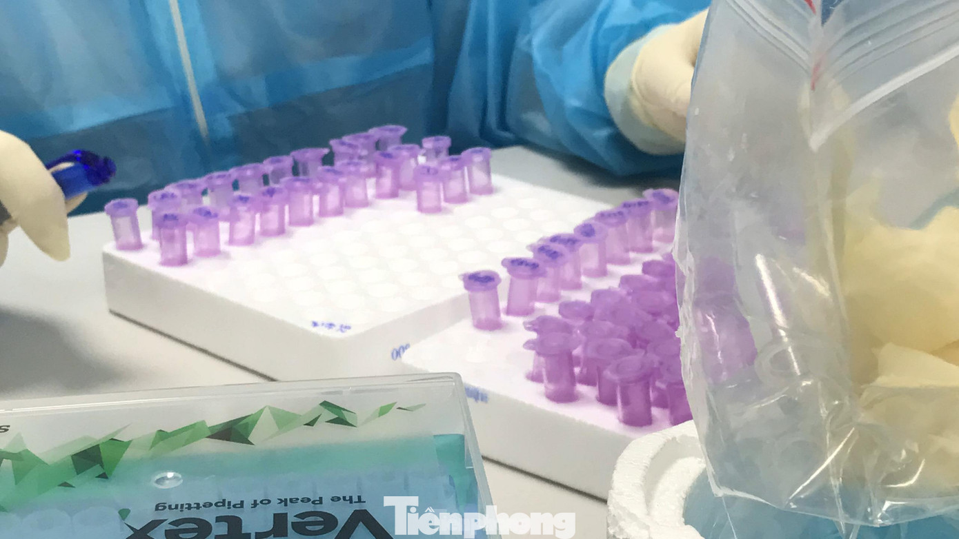 Dịch bùng phát và diễn biến phức tạp, CDC Nghệ An trở thành trung tâm đầu não trong hệ thống xét nghiệm của tỉnh Nghệ An. Mỗi ngày, hàng ngàn mẫu được đưa đến để xét nghiệm khẳng định.