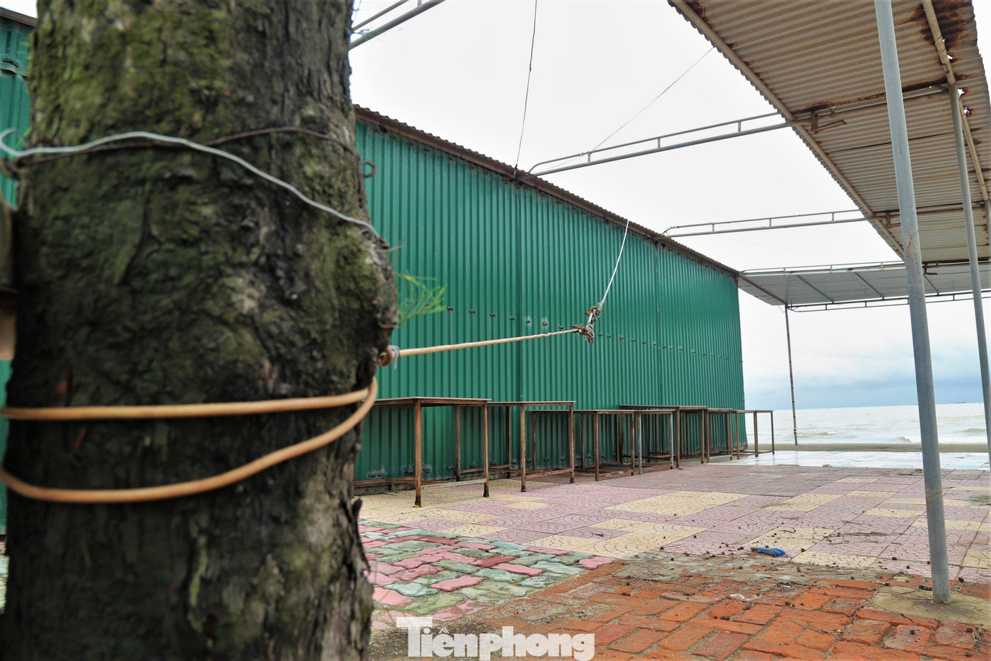 Những mái tôn tấm lợp có nguy cơ bị bão thổi bay thì người dân sẽ tháo xuống để đảm bảo an toàn.