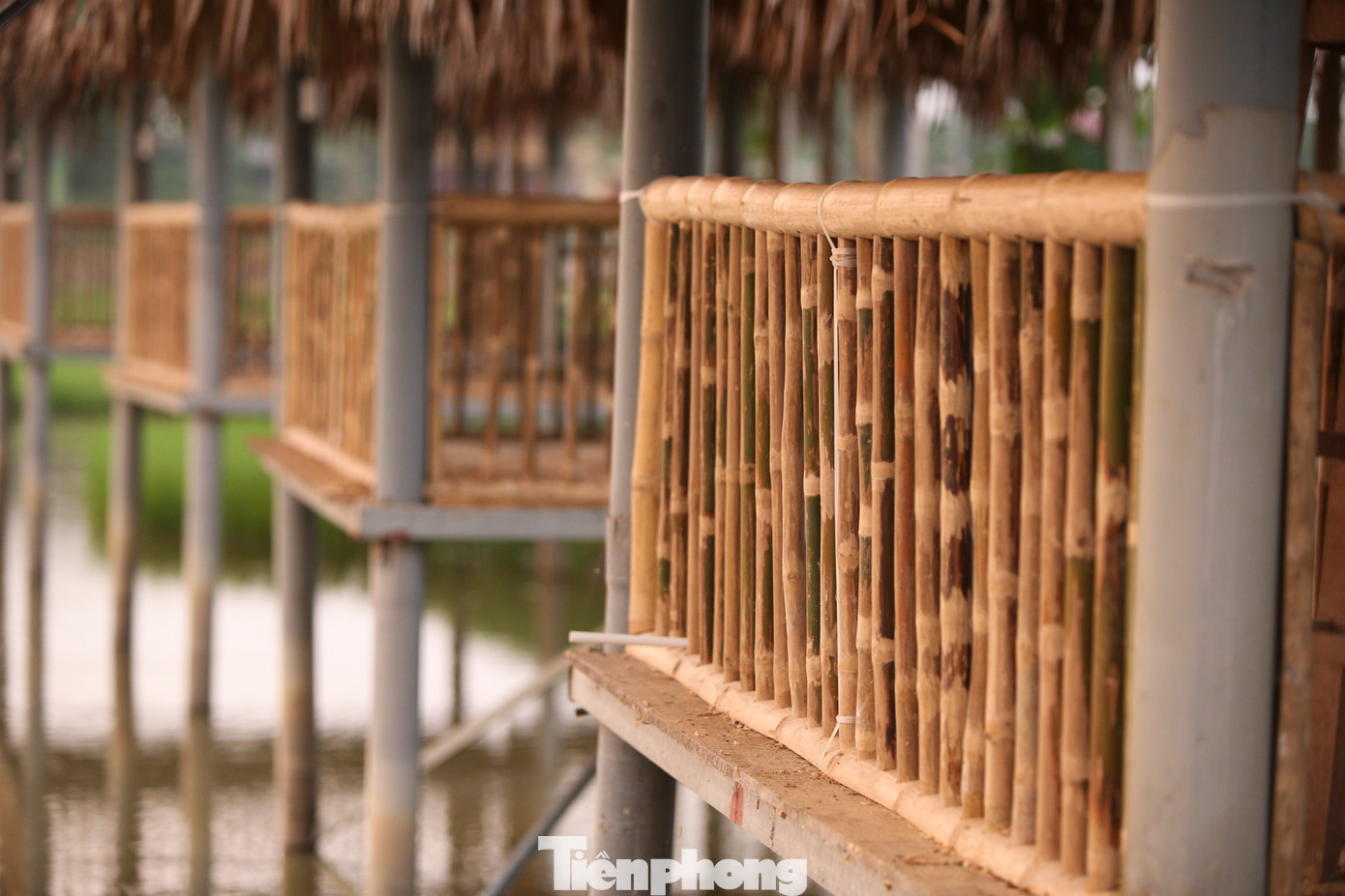 Tre, nứa, lá cọ trên các lán nghỉ ngơi dựng giữa ruộng khiến người trải nghiệm cảm nhận đầy sự thích thú.