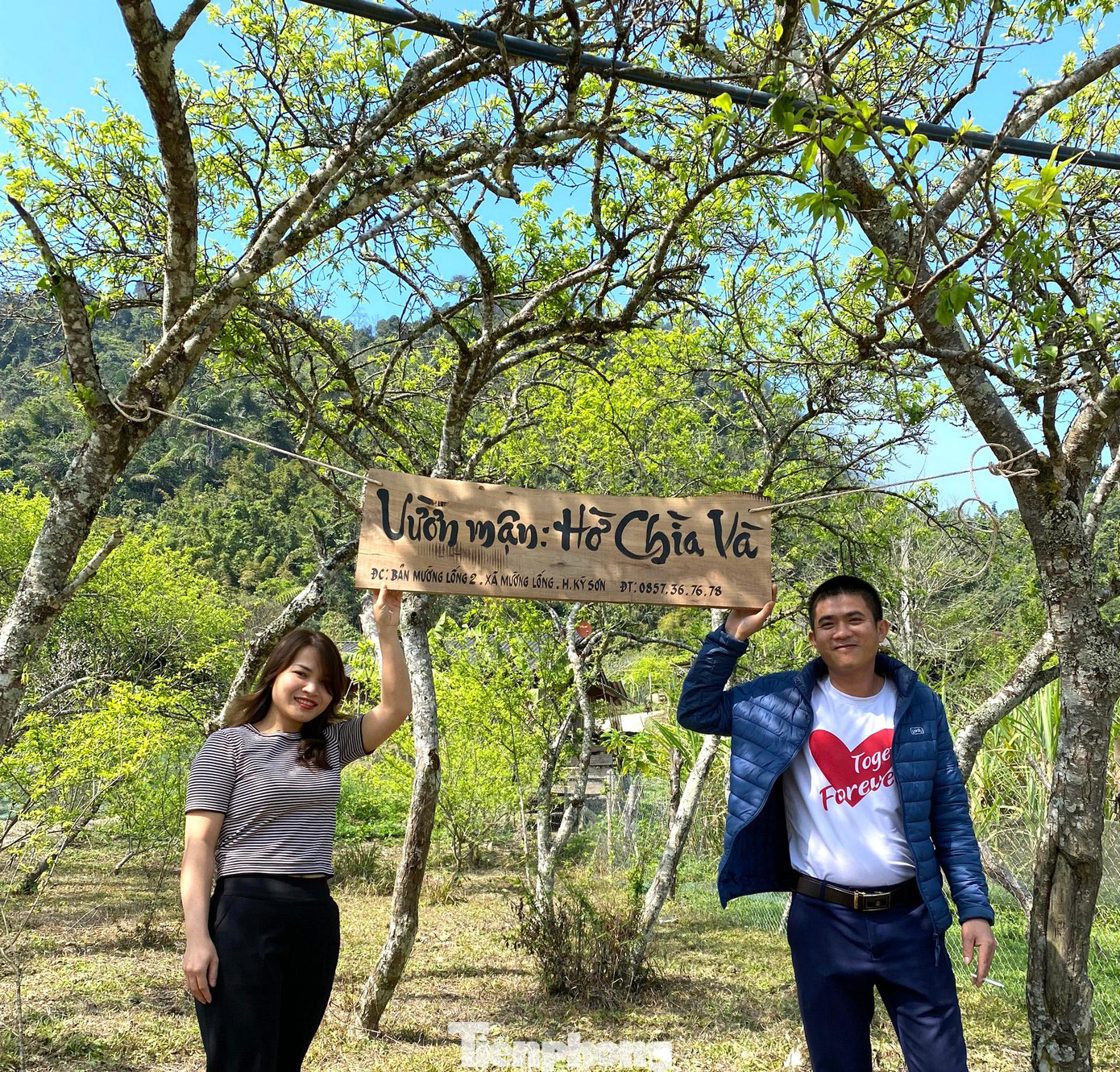 Theo chị Vân, hiện ngoài đầu tư thêm cơ sở vật chất, chị cũng đang tìm thêm người để làm hướng dẫn cho du khách khi mùa mận cho quả trong vài tháng tới: “Không chỉ khi mận nở hoa trắng xoá, mà khi cho quả sai trĩu cành cũng rất đẹp, thu hút nhiều du khách tìm đến”.