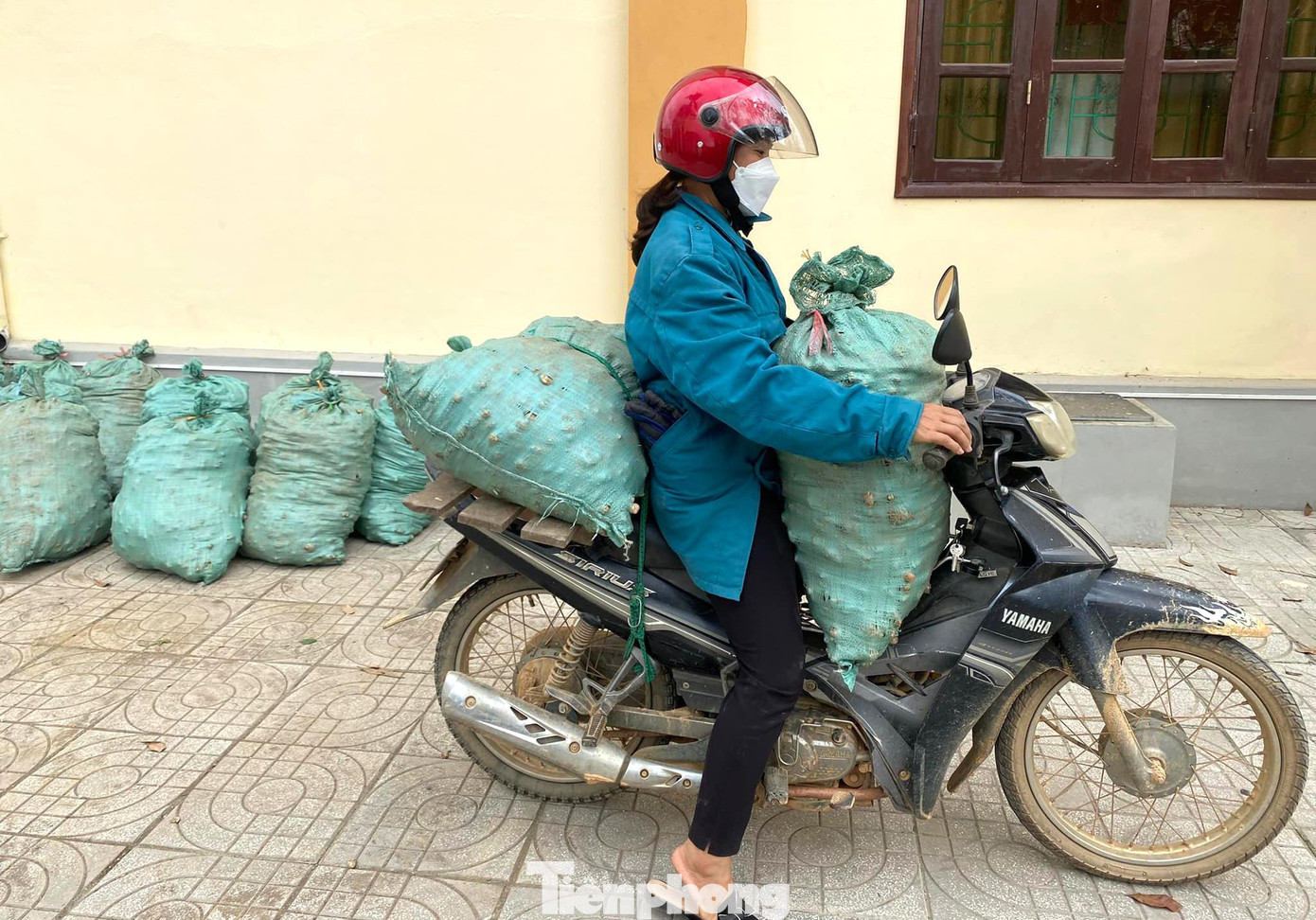 Huyện Kỳ Sơn hiện có gần 800ha gừng, tập trung ở một số xã như Na Ngoi, Tây Sơn, Đọoc Mạy, Nậm Cắn, Huồi Tụ, Keng Đu và Phà Đánh. Đây là vùng có thời tiết mát mẻ, mây mù bao phủ, gừng được trồng ở lưng chừng núi nên phù hợp với quá trình sinh trưởng và phát triển, cho năng suất khá cao. Huyện Kỳ Sơn hiện có gần 800ha gừng, tập trung ở một số xã như Na Ngoi, Tây Sơn, Đọoc Mạy, Nậm Cắn, Huồi Tụ, Keng Đu và Phà Đánh. Đây là vùng có thời tiết mát mẻ, mây mù bao phủ, gừng được trồng ở lưng chừng núi nên phù hợp với quá trình sinh trưởng và phát triển, cho năng suất khá cao.