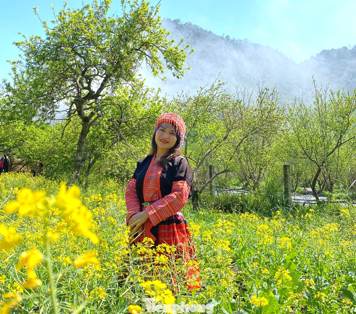 “Tuy nhiên, không phải lúc nào cũng có khách, phần lớn khách chỉ về đây du lịch vào mùa mận, mùa đào nở mà thôi”, chị Vân nói.