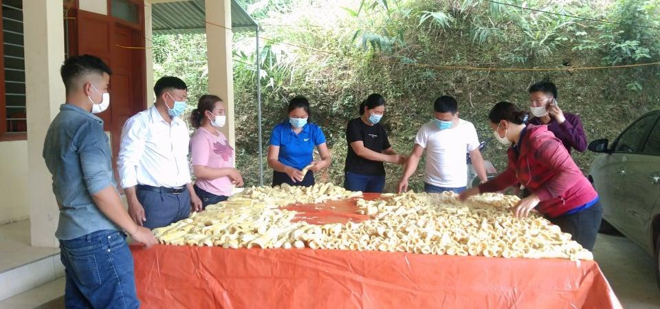 Măng rừng được tập kết để chuyển về huyện Quỳnh Lưu.