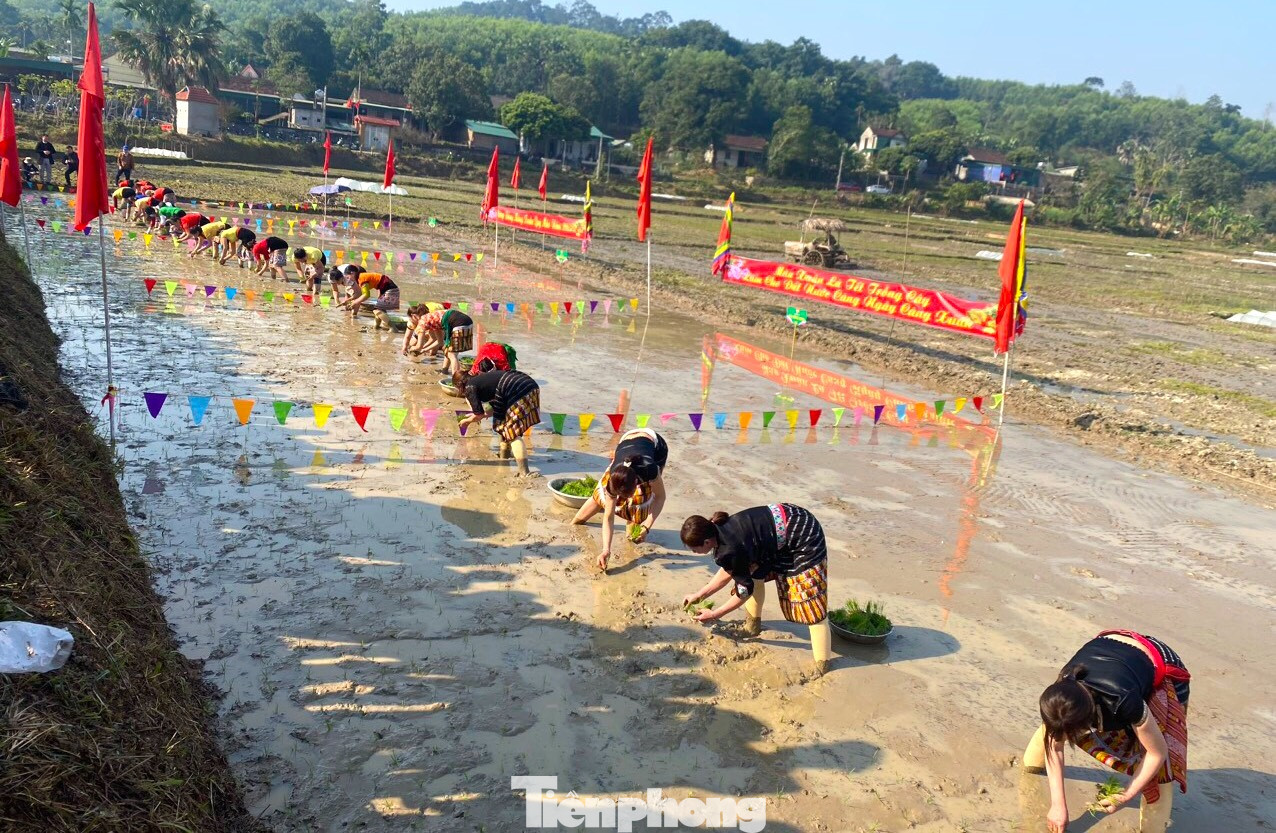 Theo người dân tộc Thái, đầu Xuân năm mới, khi đã đón xong Tết Nguyên đán thì cũng là thời điểm giao mùa, thích hợp nhất cho việc xuống đồng trồng lúa. Ngày này, thầy mo của các bản mường sẽ chọn ngày đẹp nhất rồi cùng mọi người trong bản tổ chức ngày hội xuống đồng. Theo người dân tộc Thái, đầu Xuân năm mới, khi đã đón xong Tết Nguyên đán thì cũng là thời điểm giao mùa, thích hợp nhất cho việc xuống đồng trồng lúa. Ngày này, thầy mo của các bản mường sẽ chọn ngày đẹp nhất rồi cùng mọi người trong bản tổ chức ngày hội xuống đồng.