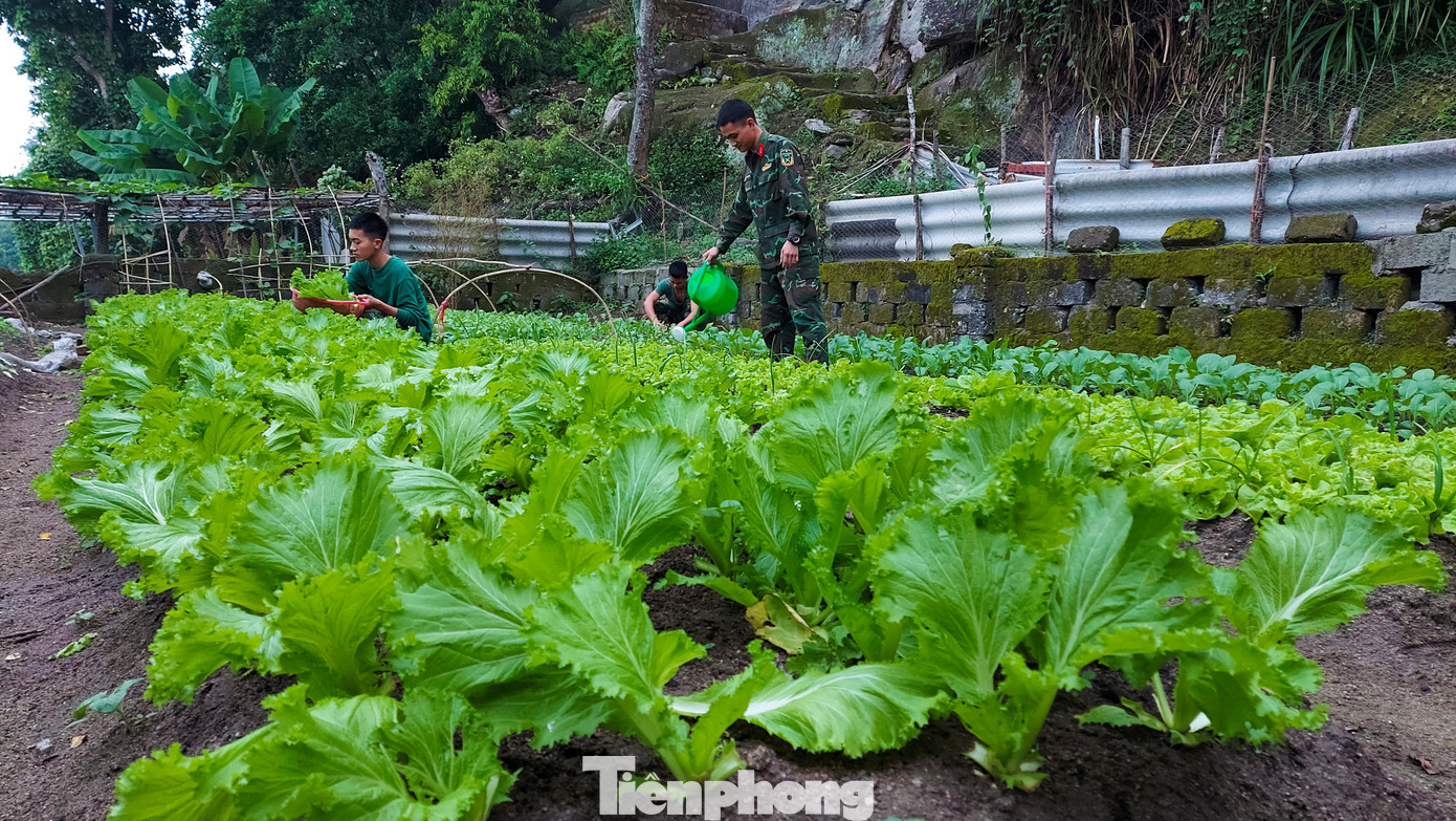Toàn Đảo Mắt có 10 vườn rau thanh niên, có vườn to, vườn nhỏ tùy thuộc vào bãi đất bằng ở sườn đồi. "Với phẩm chất Bộ đội Cụ Hồ, nhiệt huyết, sáng tạo của tuổi trẻ nên dù khó khăn thế nào cán bộ, chiến sĩ Tiểu đoàn hỗn hợp Đảo Mắt cũng vượt qua", Đại úy Nguyễn Công Khánh chia sẻ.