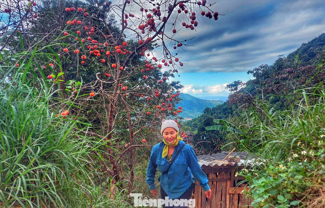 Xã Tây Sơn nằm cách thị trấn Mường Xén (huyện Kỳ Sơn, Nghệ An) khoảng 12 km. Đây là nơi định cư từ lâu đời của cộng đồng người Mông với những ngôi nhà lợp bằng mái sa mu truyền thống. Mùa đông đến, khắp các bản Huồi Giảng 1,2,3 rực lên một màu đỏ của những trái hồng chín.