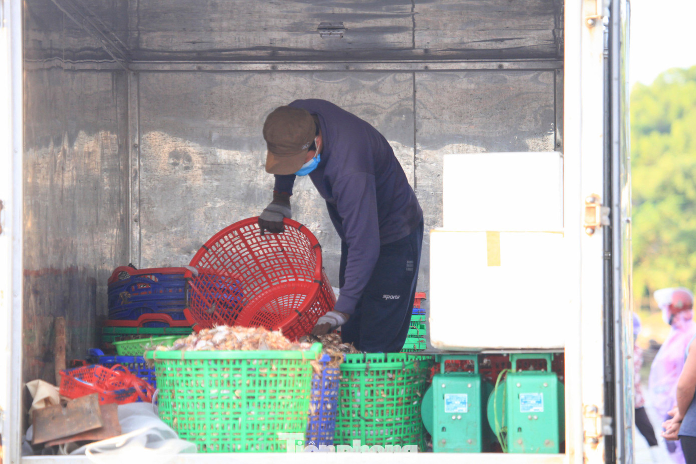 Xe tải nhỏ vào cảng thu gom mua hải sản vận chuyển về các huyện thị khác bán lẻ cho tiểu thương, người dân.