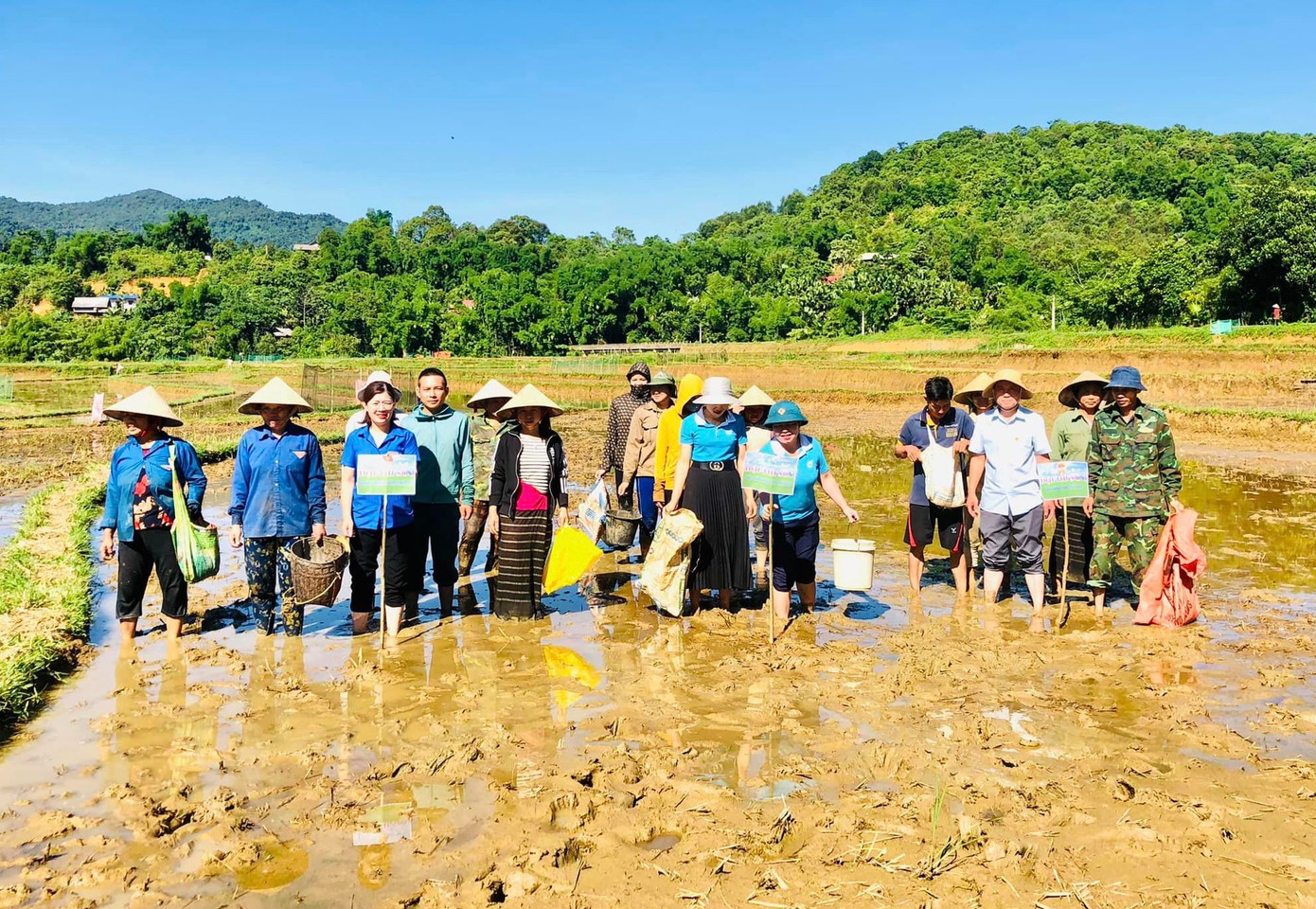 Ngày 7/7, đoàn viên thanh niên xã Tri Lễ (huyện Quế Phong, Nghệ An) phối hợp với Hội phụ nữ xã, Hội nông dân xã tiến hành tổ chức lễ phát động diệt trừ ốc bươu vàng hại lúa vụ mùa năm 2023 tại bản Cắm. Ngày 7/7, đoàn viên thanh niên xã Tri Lễ (huyện Quế Phong, Nghệ An) phối hợp với Hội phụ nữ xã, Hội nông dân xã tiến hành tổ chức lễ phát động diệt trừ ốc bươu vàng hại lúa vụ mùa năm 2023 tại bản Cắm.