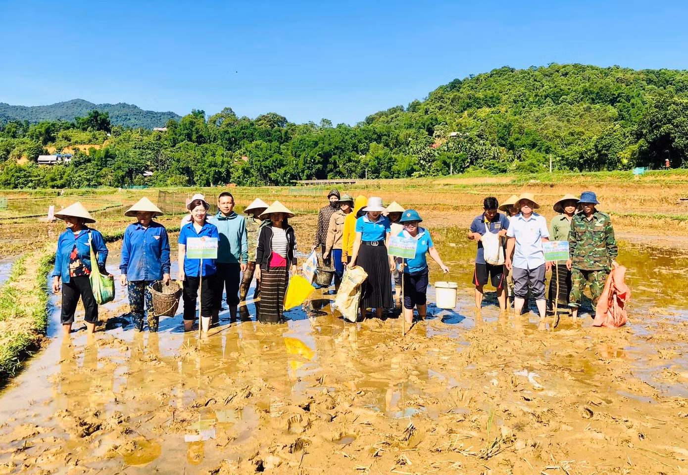Ngày 7/7, đoàn viên thanh niên xã Tri Lễ (huyện Quế Phong, Nghệ An) phối hợp với Hội phụ nữ xã, Hội nông dân xã tiến hành tổ chức lễ phát động diệt trừ ốc bươu vàng hại lúa vụ mùa năm 2023 tại bản Cắm.