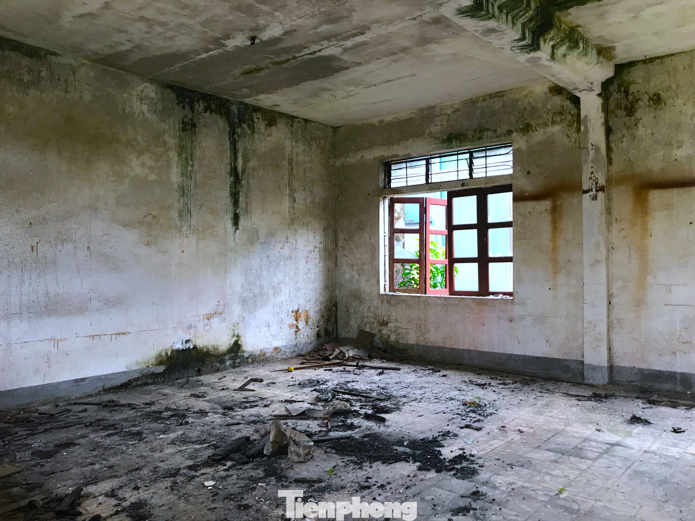Những bức tường rêu phong, cũ nát, các phòng học tan hoang. Nhiều nơi cỏ dại mọc um tùm khắp khuôn viên trường.