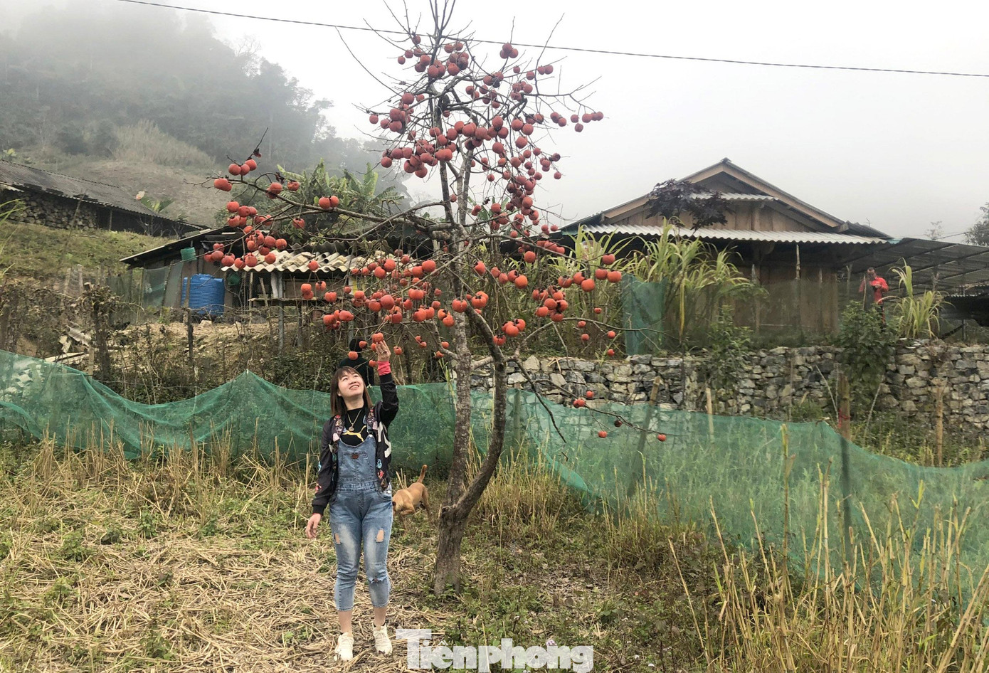 Trong kế hoạch, Mường Lống sẽ được kết nối với xã Mỹ Lý để hình thành tour du lịch Mường Lống - Mỹ Lý. Với tuyến này, du khách sau khi ngắm cảnh, có thể tiếp hành trình đến Mỹ Lý để trải nghiệm văn hóa đồng bào người Thái như: ẩm thực, các làn điệu dân ca, dân vũ, trải nghiệm dệt thổ cẩm, chèo thuyền đánh cá…