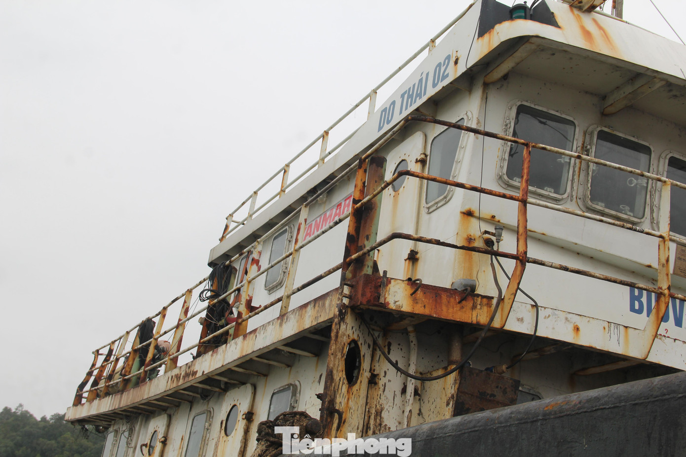 Tàu thuyền đậu kín dọc hai bên bờ dọc cảng Lạch Quèn, huyện Quỳnh Lưu. Nhiều tàu đánh cá nằm bờ nhiều tháng qua. Một số chủ tàu thua lỗ đã rao bán tàu giá rẻ song chẳng có người mua. Tàu thuyền đậu kín dọc hai bên bờ dọc cảng Lạch Quèn, huyện Quỳnh Lưu. Nhiều tàu đánh cá nằm bờ nhiều tháng qua. Một số chủ tàu thua lỗ đã rao bán tàu giá rẻ song chẳng có người mua.