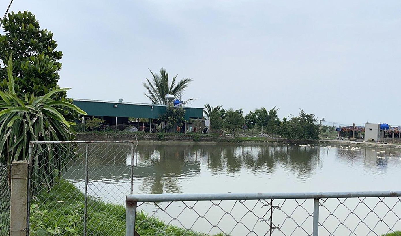 Pháp chọn các trang trại chăn nuôi giữa đồng để tổ chức đánh bạc