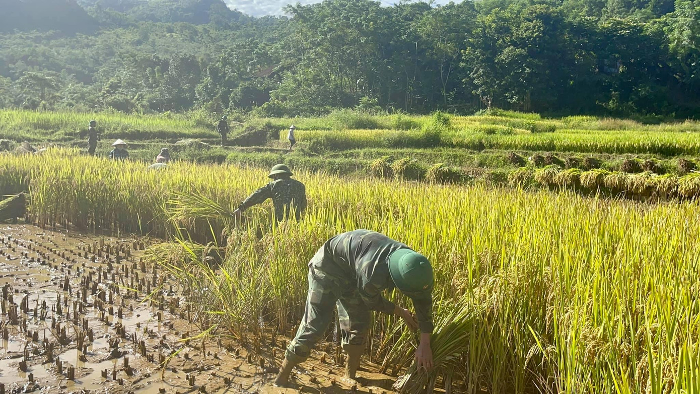 Từ sáng sớm, cán bộ, chiến sỹ Bộ đội biên phòng đã bắt đầu công việc. Cùng tham gia có một số người dân địa bàn xã Tam Quang, huyện Tương Dương, Nghệ An. Từ sáng sớm, cán bộ, chiến sỹ Bộ đội biên phòng đã bắt đầu công việc. Cùng tham gia có một số người dân địa bàn xã Tam Quang, huyện Tương Dương, Nghệ An.