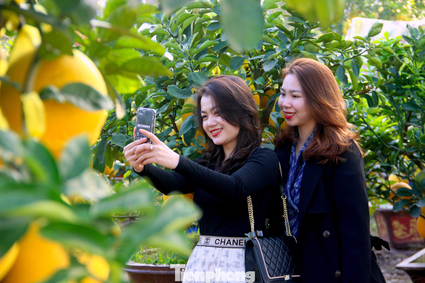 Được đánh giá là vườn bưởi Diễn đẹp nhất hiện nay tại thành phố Vinh, bởi thế đây cũng là địa điểm lý tưởng để nhiều người tìm đến chơi, ngắm bưởi và check-in. Được đánh giá là vườn bưởi Diễn đẹp nhất hiện nay tại thành phố Vinh, bởi thế đây cũng là địa điểm lý tưởng để nhiều người tìm đến chơi, ngắm bưởi và check-in.