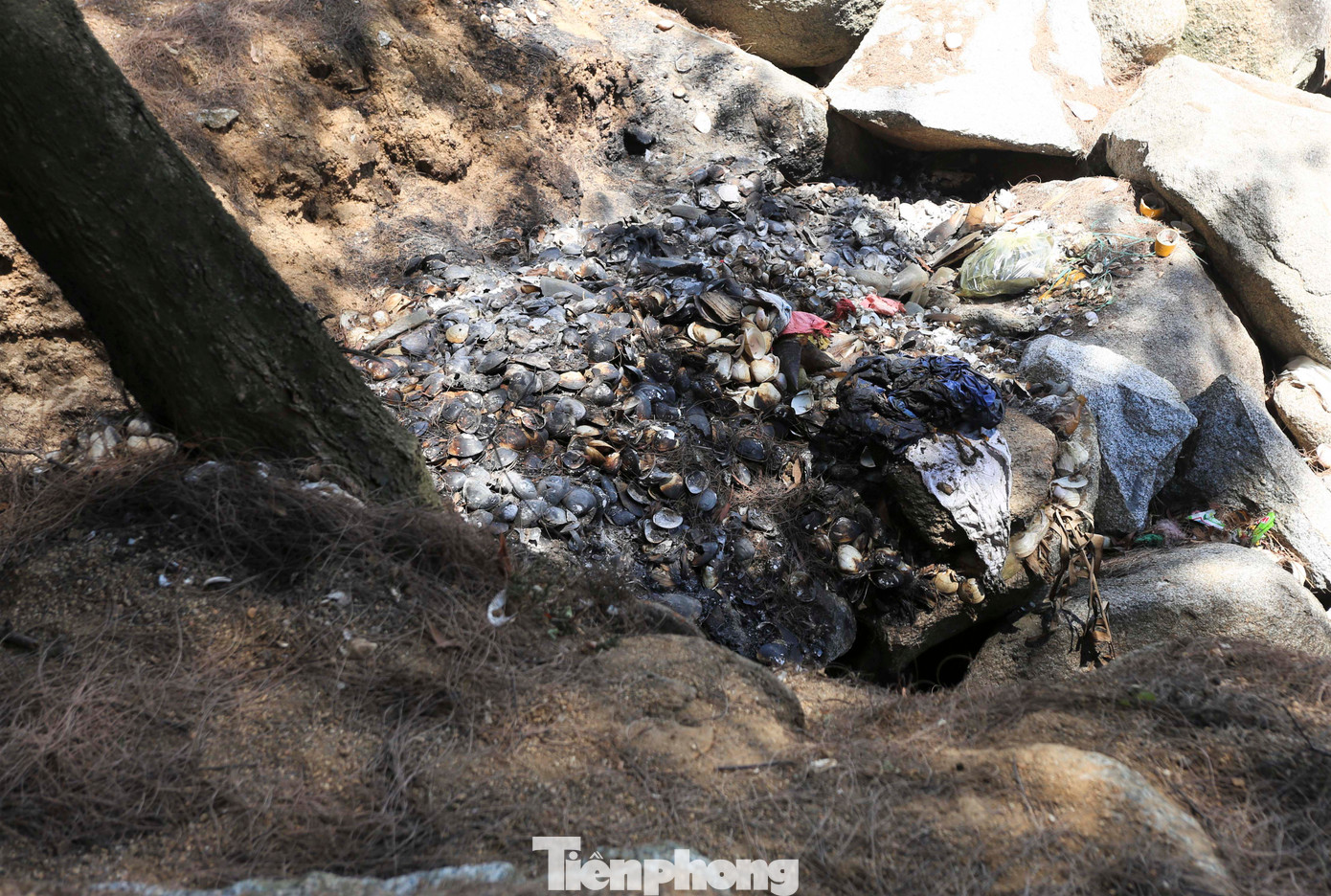 Nhiều bãi rác dưới tán rừng, cạnh ghềnh đá bị đốt nham nhở, nguy cơ xảy ra cháy rừng.
