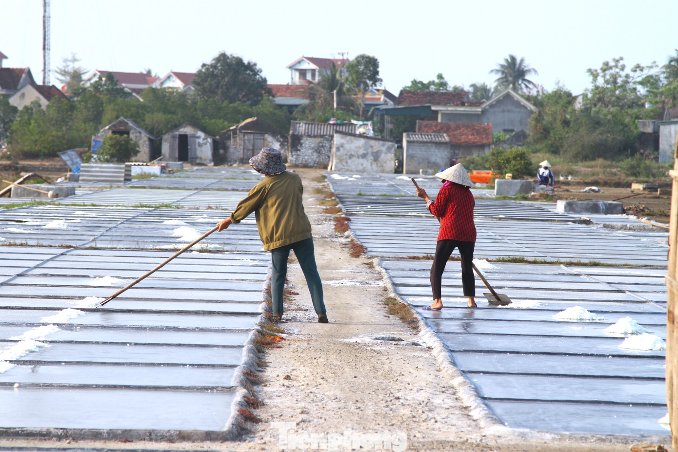 Trong một năm, nghề làm muối chỉ được vài ba tháng nắng nên khi có nắng, bà con diêm dân tất bật trên cánh đồng.