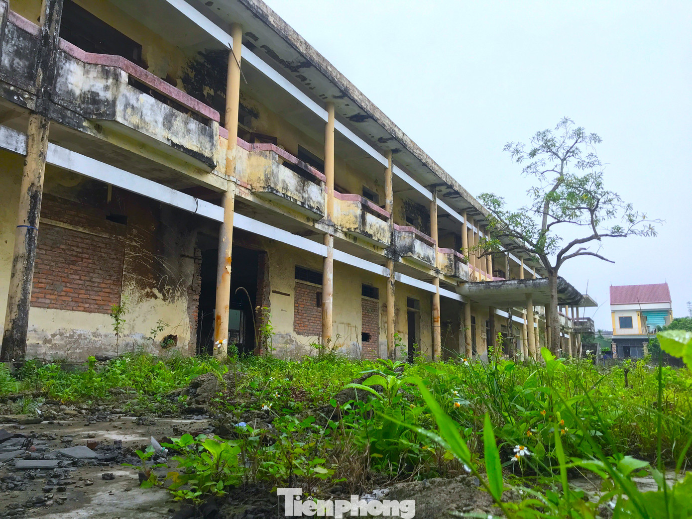 Do bỏ hoang lâu năm nên khuôn viên, các dãy nhà học bên trong đã bị hư hỏng, xuống cấp nghiêm trọng. Phía trong, dãy phòng học 2 tầng kiên cố đã xuống cấp, rêu mọc đầy tường. Dãy nhà hiệu bộ cũng trong tình trạng hoang tàn.