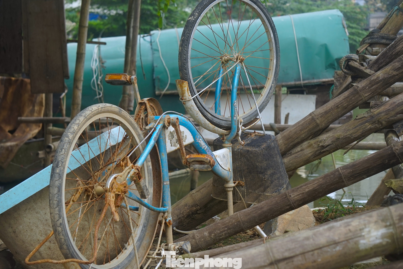 Tài sản của họ chẳng có gì đáng giá ngoài những chiếc xe cũ và ít vật nuôi trong nhà.