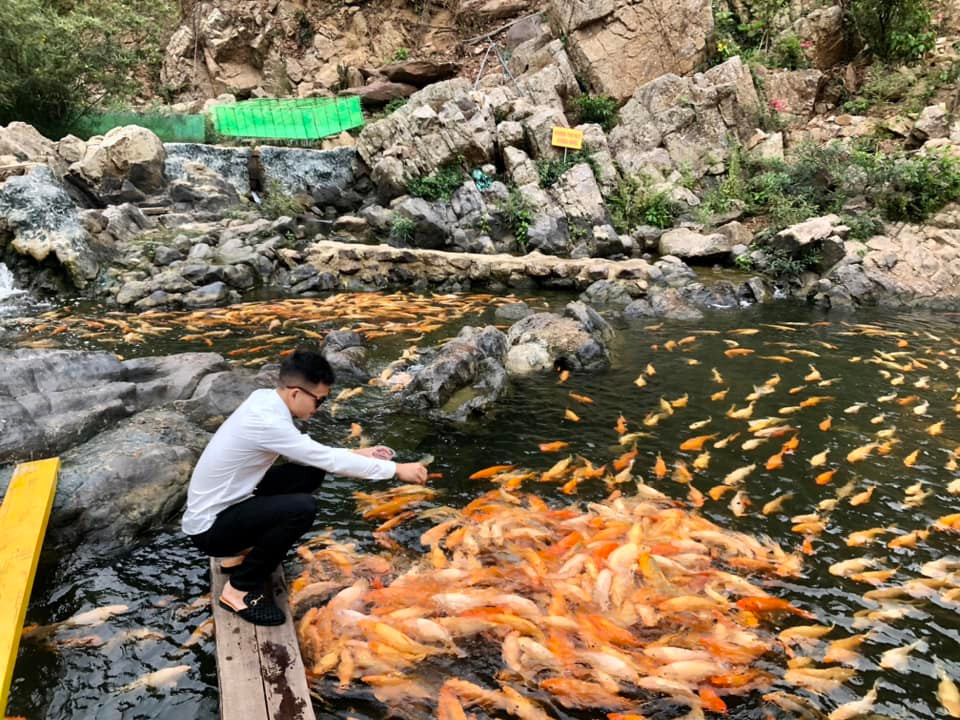 Suối cá vàng Khe Tọ là một dòng suối ngắn, nơi rộng nhất khoảng 30-40m, vị trí sâu nhất khoảng 4-5m, lòng suối không bùn, nước trong vắt. Du khách đến đây sẽ cảm nhận được sự mát mẻ của thiên nhiên.