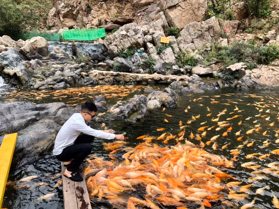 Suối cá vàng Khe Tọ là một dòng suối ngắn, nơi rộng nhất khoảng 30-40m, vị trí sâu nhất khoảng 4-5m, lòng suối không bùn, nước trong vắt. Du khách đến đây sẽ cảm nhận được sự mát mẻ của thiên nhiên.