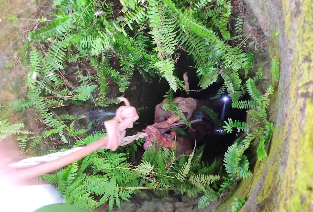 Ông H. được giải cứu thành công sau một đêm rơi xuống giếng sâu Ông H. được giải cứu thành công sau một đêm rơi xuống giếng sâu