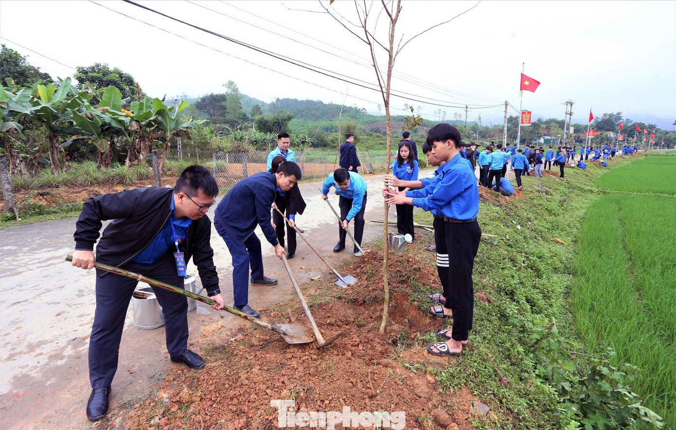 Không khí sôi nổi hưởng ứng Tết trồng cây đời đời nhớ ơn Bác Hồ trên mọi miền đất nước.