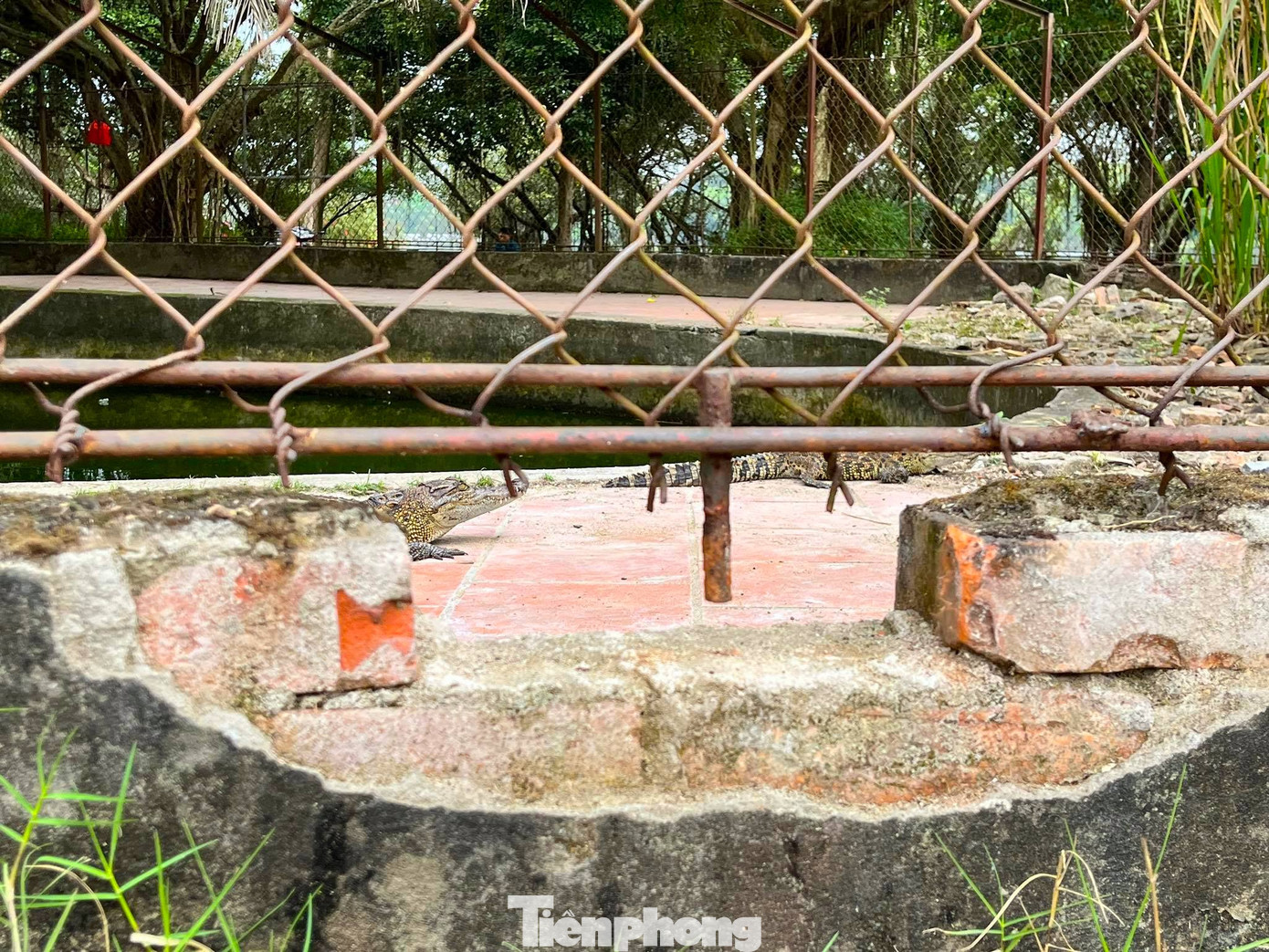 Trải qua thời gian, hiện lớp tường này đã bị vỡ, thủng một số điểm khiến người dân bất an. Trải qua thời gian, hiện lớp tường này đã bị vỡ, thủng một số điểm khiến người dân bất an.