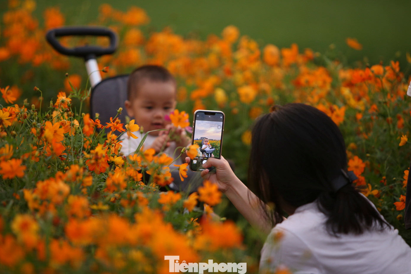 Con đường hoa và mô hình nông nghiệp sinh thái thu hút nhiều người tham quan, trải nghiệm. Dịp 30/4 tới đây, khu vực này sẽ tổ chức hội chợ