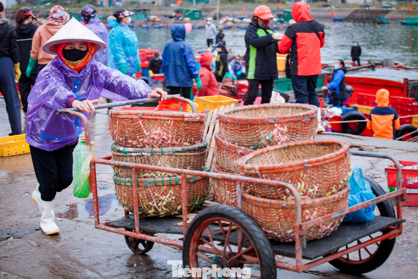 Sau kỳ nghỉ Tết Nguyên đán Nhâm Dần 2022, ngư dân Nghệ An đã bắt đầu ra khơi đánh bắt, khởi đầu cho một năm mới với nhiều may mắn và cầu mong một mùa đánh bắt bội thu.