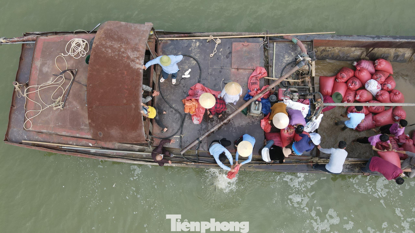 Do lượng cá phóng sinh lớn, không thể chỉ thả ở mỗi bến sông, mà cá còn được vận chuyển lên thuyền đưa ra thả giữa sông Lam.