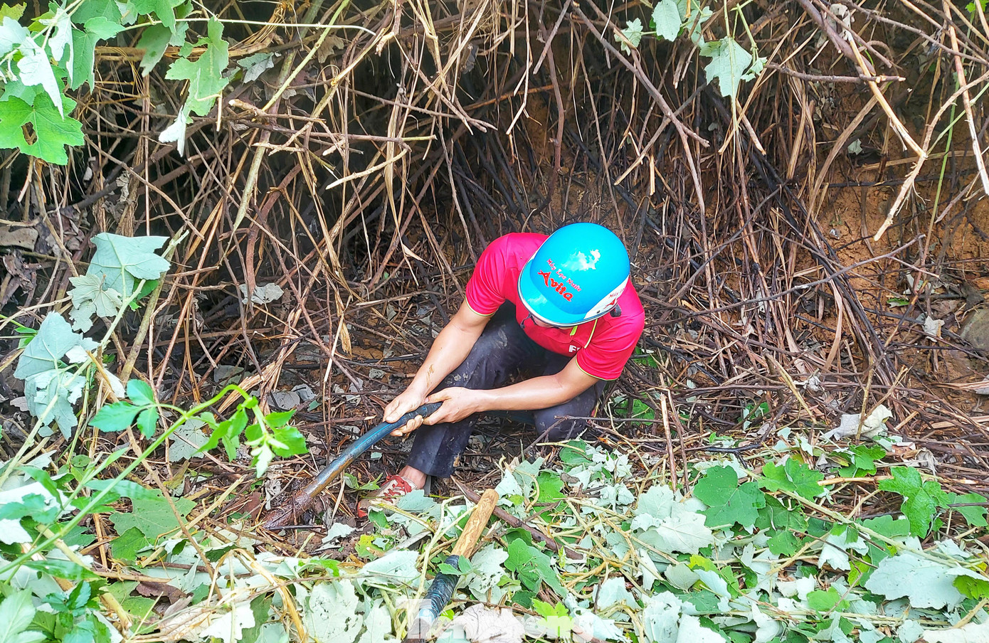 “Khổ nhất là trời mới mưa xong, vắt bám đầy người, phải chui trong từng bụi rậm để lần mò đường ống dẫn nước”, thầy Lâm nói. “Khổ nhất là trời mới mưa xong, vắt bám đầy người, phải chui trong từng bụi rậm để lần mò đường ống dẫn nước”, thầy Lâm nói.