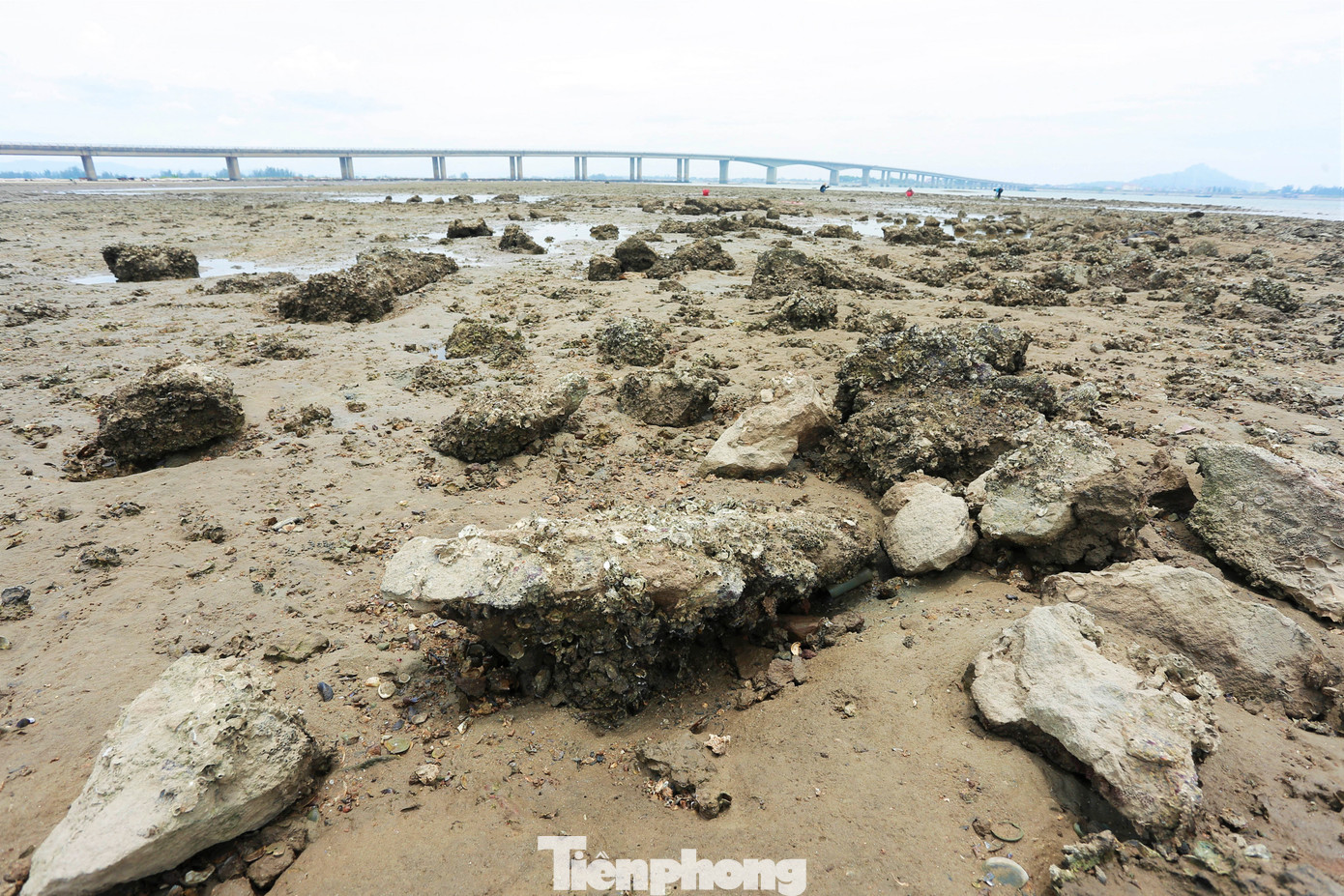 Các khối đá, bê tông ngổn ngang dọc bãi bồi gần cầu.