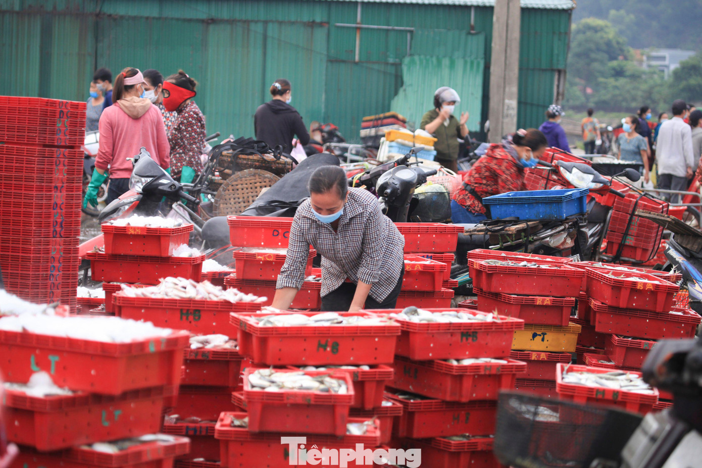 Thông tin từ UBND thị xã Cửa Lò, hơn 2.000 tiểu thương ở thị xã đã được tiêm vắc xin, người dân đến chợ hay cảng cá phải thực hiện nghiêm quy định 5K.