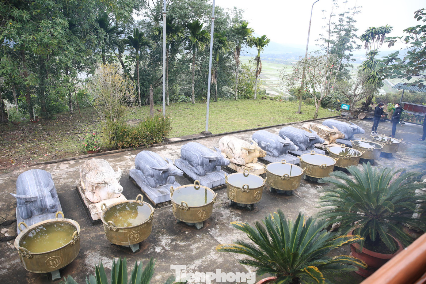 Phía trước đầu 9 con trâu là 9 vạc nước được kê bằng đá, vạc nước có kích thước cao 60 cm, đường kính 80 cm. 9 con trâu và 9 vạc nước tượng trưng cho chín mường chuẩn bị tế lễ.