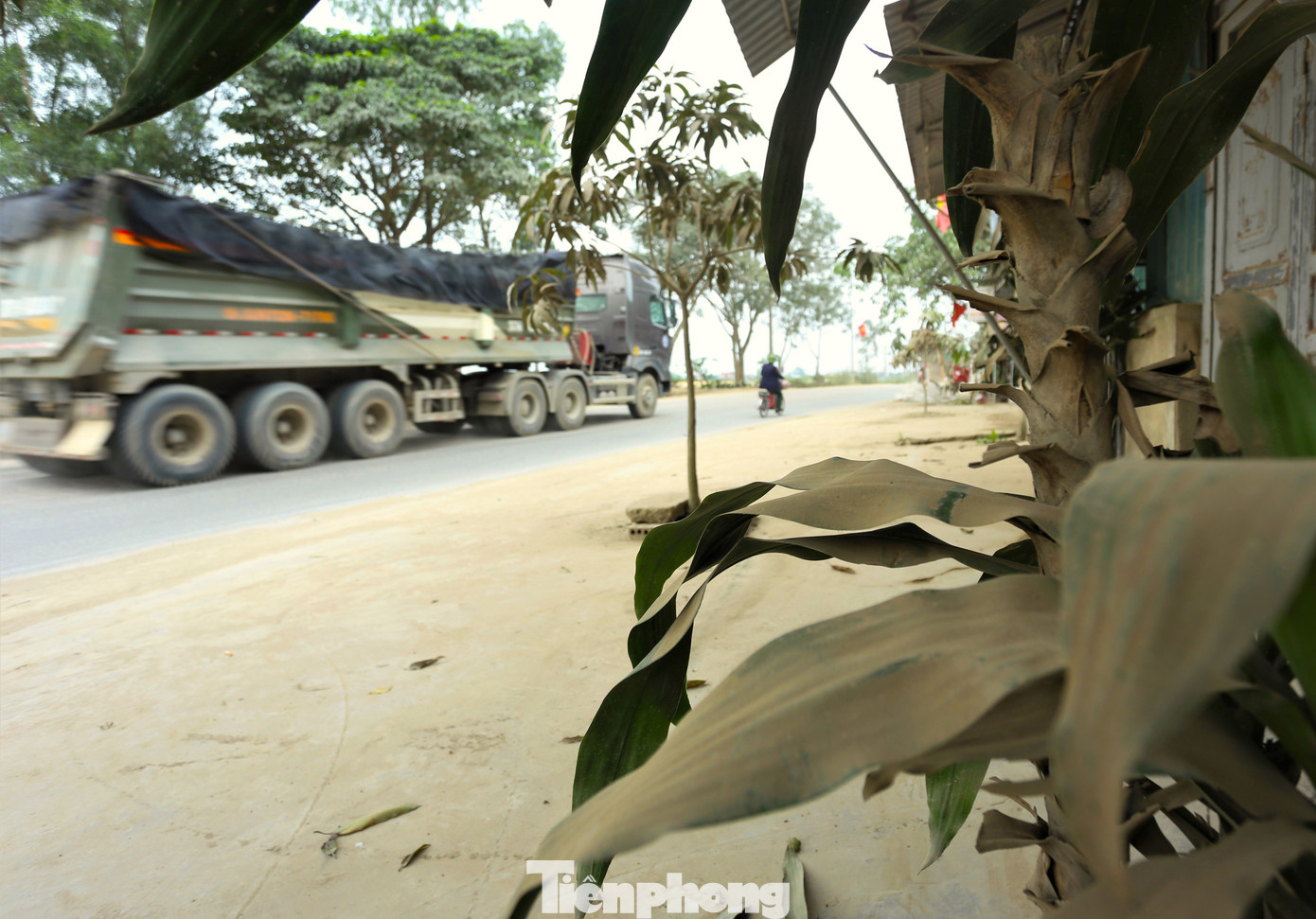 Ở 2 bên tỉnh lộ 542C, nhà dân, cây cối được nhuốm một màu xám xịt của bụi.